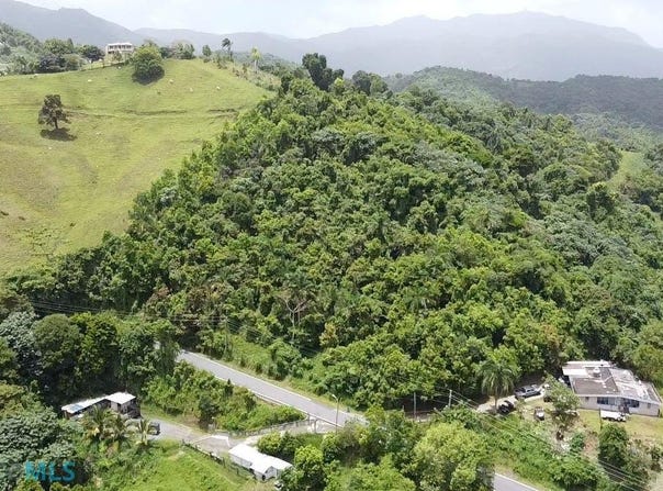Peña Pobre, Naguabo, PR 00718