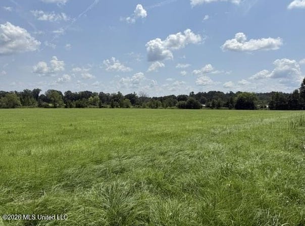 Brewer Drive, Forest, MS 39074