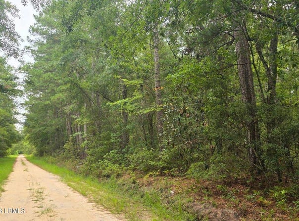 Wade Hampton Road, Hampton, SC 29924
