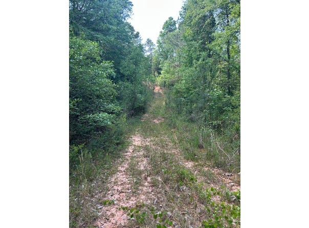 Raymond Loop, Dozier, AL 36028