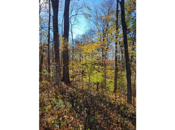 Valley Drive, Greencastle, IN 46135