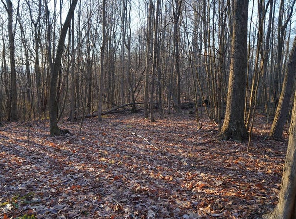 Klondike Rd. lot: 2, Confluence, PA 15424