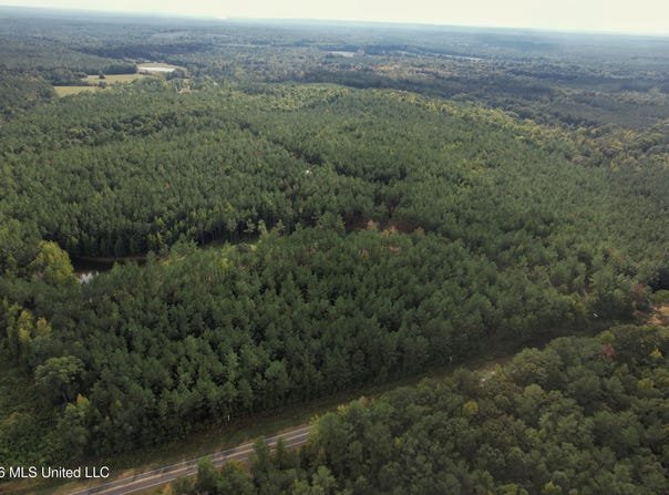 5529 Mlking Junior Drive, Eupora, MS 39744