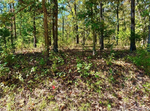 Saint Saveur Drive, Edwards, MO 65326