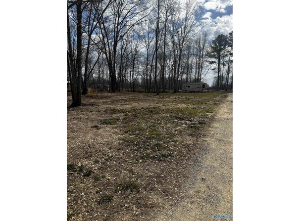 1725 County Road 182, Cedar Bluff, AL 35959