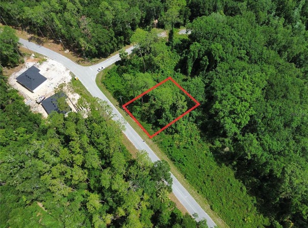 LOCUST RUN DRIVE, OCALA, FL 34472