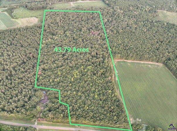 Coogle Road, Oglethorpe, GA 31068