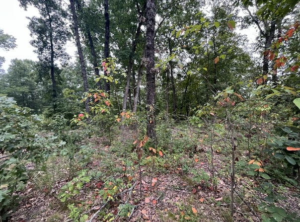 Partridge Drive, Climax Springs, MO 65324