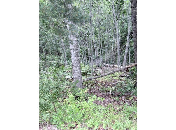 00 Walker Road, Lamoine, ME 04605
