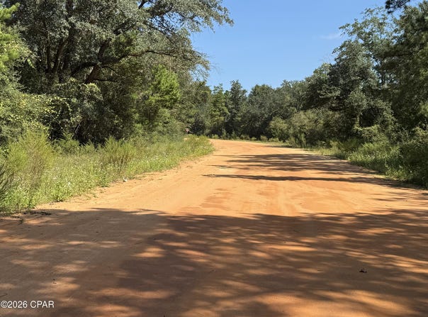 Anderson Drive, Alford, FL 32420