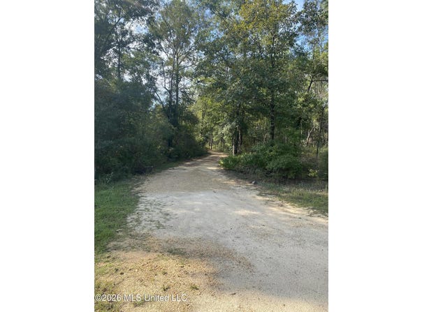58 Grady Diamond Road, Perkinston, MS 39573
