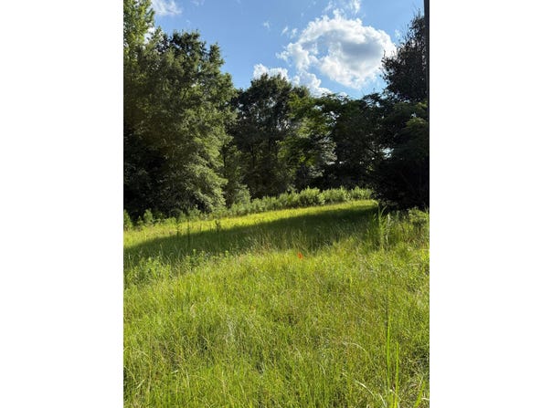 1529 CHEATHAM Rd, Carbon Hill, AL 35549