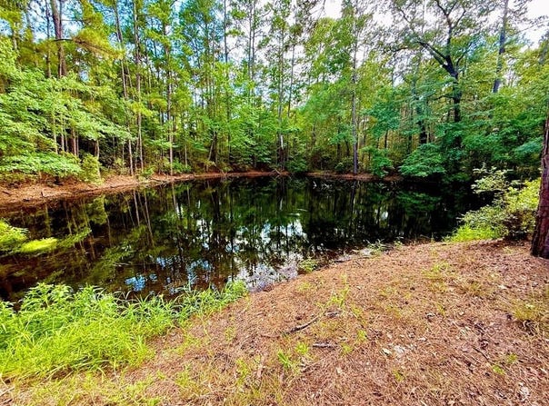 Parcel: 12636 CR 4740, Kennard, TX 75847
