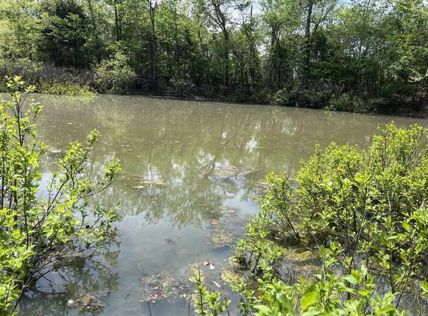 County Road P-309, Alton, MO 65606