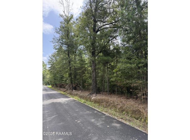 Stage Coach Road, St. Landry, LA 71367