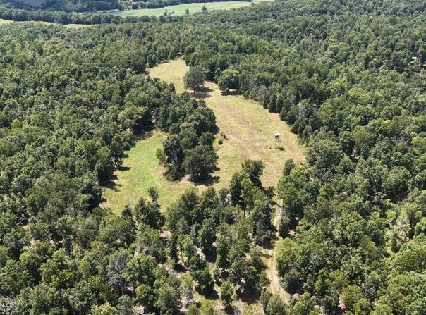 County Road 422-17, Birch Tree, MO 65438