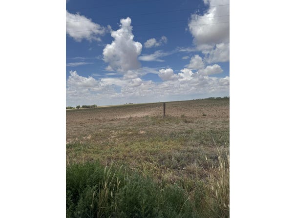 E 597, Idalou, TX 79329