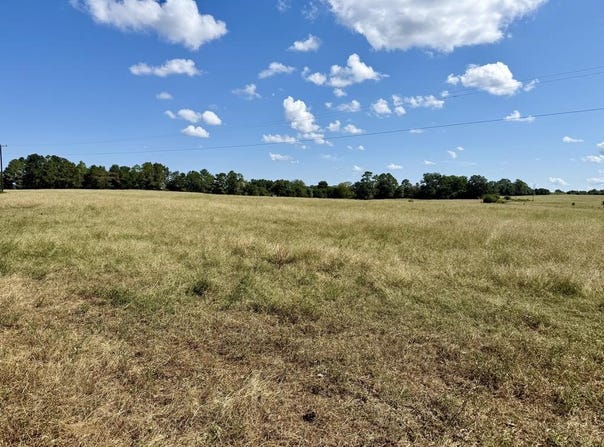 3.4 Acres County Road 661, Samson, AL 36477