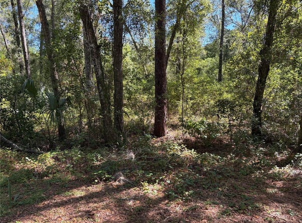1222 CLOVER Terrace, INVERNESS, FL 34452