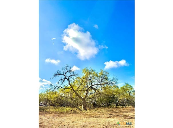 6052 TENNY CREEK RD, Luling, TX 78648