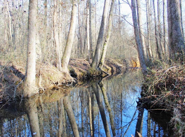 E Bivens Road, Quitman, AR 72131