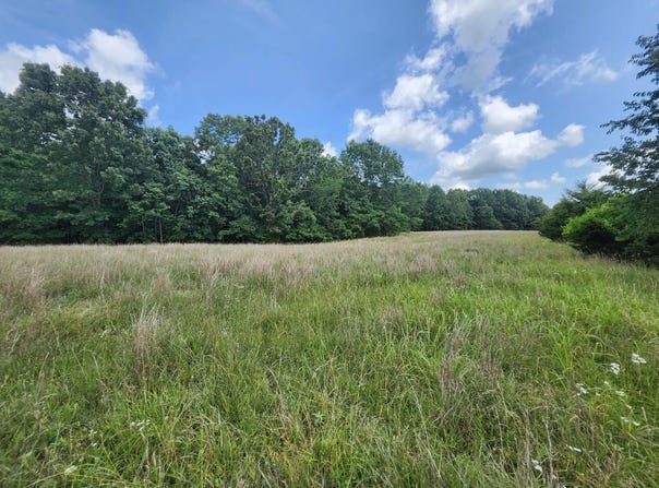 Blackberry Drive, Summersville, MO 65571