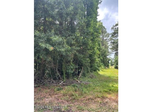 L W Johnson Road, Tylertown, MS 39667