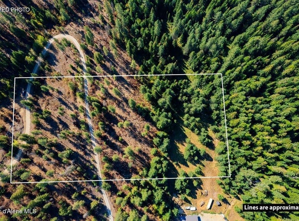 Moose Mtn lot: 1A, Priest River, ID 83856
