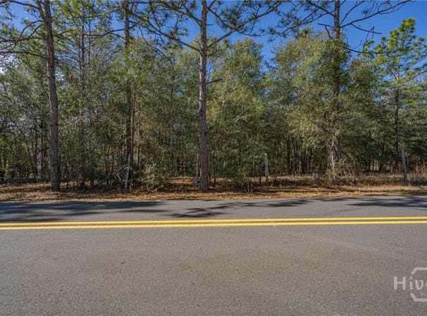 Holly Drive, Eden, GA 31307