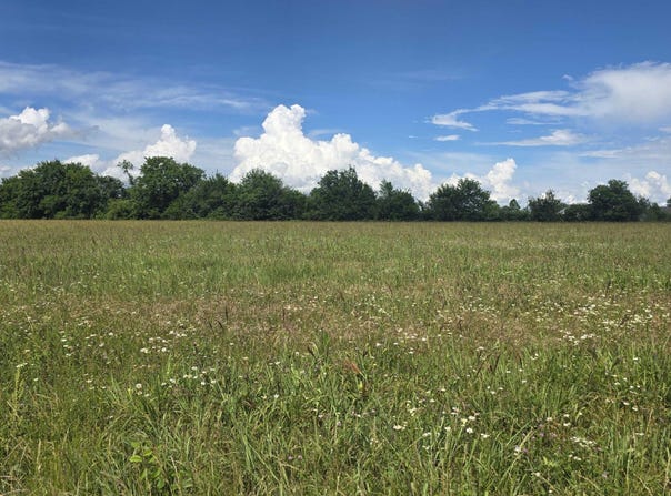 S Ali Cat Drive, Carthage, MO 64836