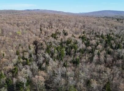 E Pinnacle Road W, Bellmont, NY 12920