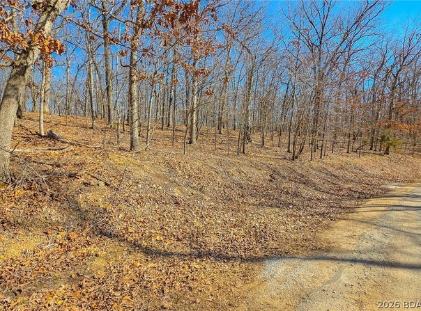 Grand View Drive lot: #450, Sunrise Beach, MO 65079