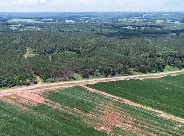 154 County Road 38 Acres, Banks, AL 36005