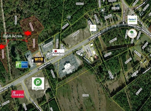 8.68 AC Tranquil Way Highway, Flemington, GA 31313