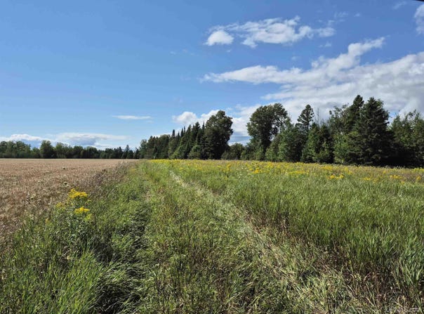 160 Acres Halverson Road, Gulliver, MI 49840