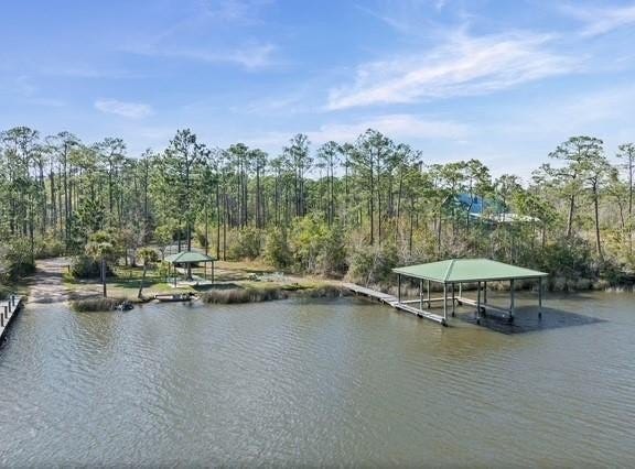 Palmetto Point, Theodore, AL 36582