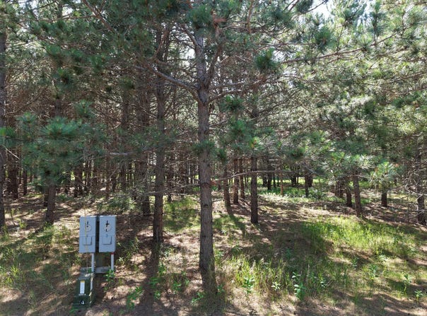 1115 Sunset, Unit 31 Loop, Park Rapids, MN 56470