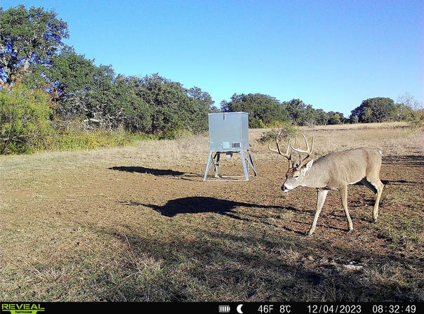 11 County Road 191, Mullin, TX 76864