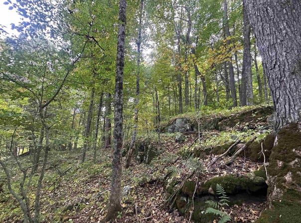 Ideauma Rd, DeKalb Junction, NY 13630