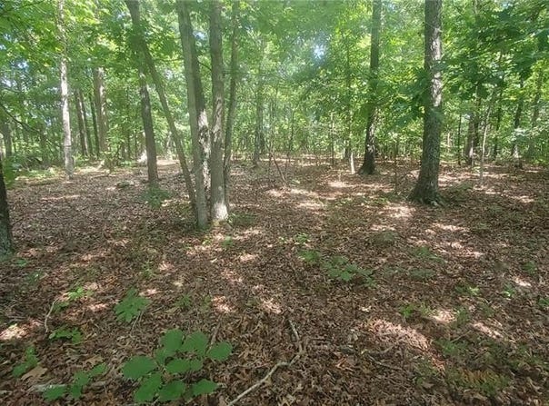 Elk Creek, MO 65464