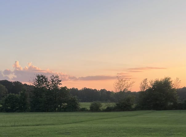 8404 DANIEL TRAIL lot: #40, DORA, AL 35062