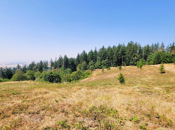20661 Meadowview Rd, Harrisburg, OR 97446