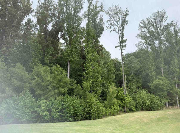 WINDWAY Dr, Bartlett, TN 38135