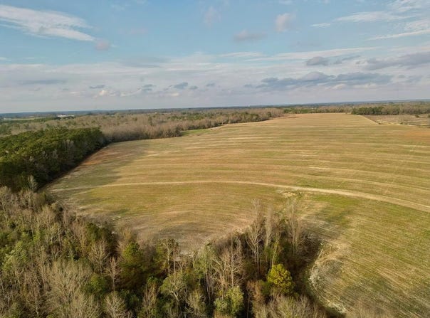 2 County Road 3324, BRUNDIDGE, AL 36010