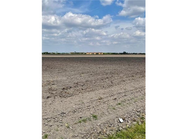 N Mile 16 Road E, Elsa, TX 78543