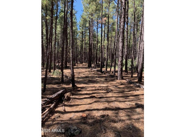 TBD-2 Dynamite Road, Lakeside, AZ 85929