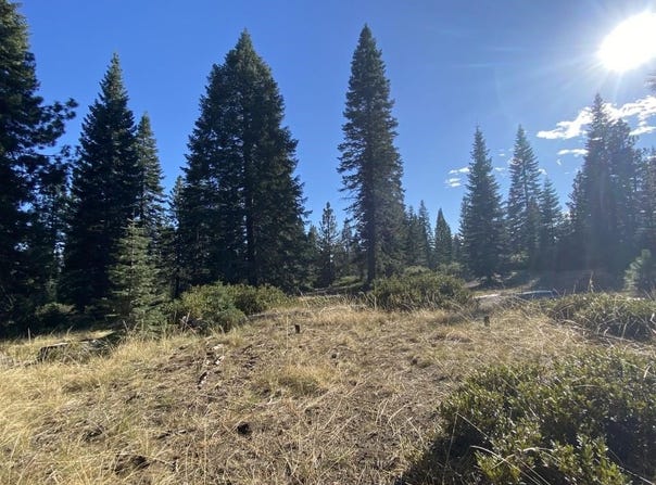 4-H-6 & 7 Ridge Dr, McCloud, CA 96057