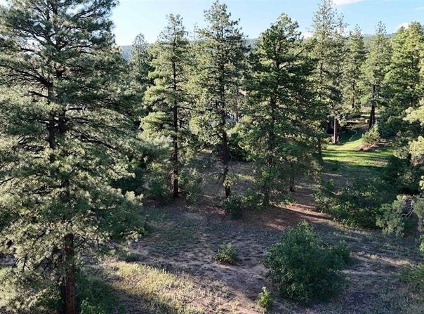 91 Engine Creek Court, Durango, CO 81301