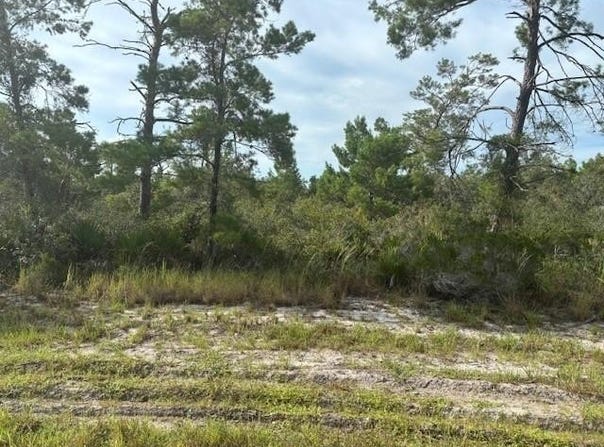 Cypress Street, Interlachen, FL 32148