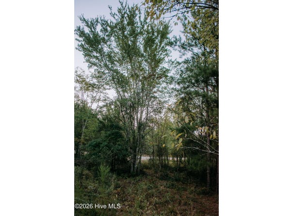 Nighthawk Loop lot: 3-Tbd, Aberdeen, NC 28315